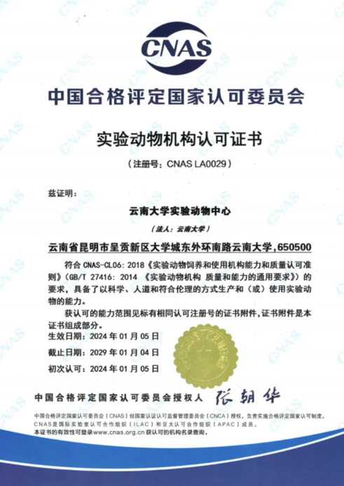 【云南】云南大學(xué)實(shí)驗(yàn)動(dòng)物中心順利通過(guò)CNAS實(shí)驗(yàn)動(dòng)物機(jī)構(gòu)認(rèn)可-江蘇網(wǎng)站制作